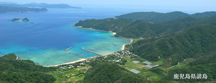 鹿児島県請島